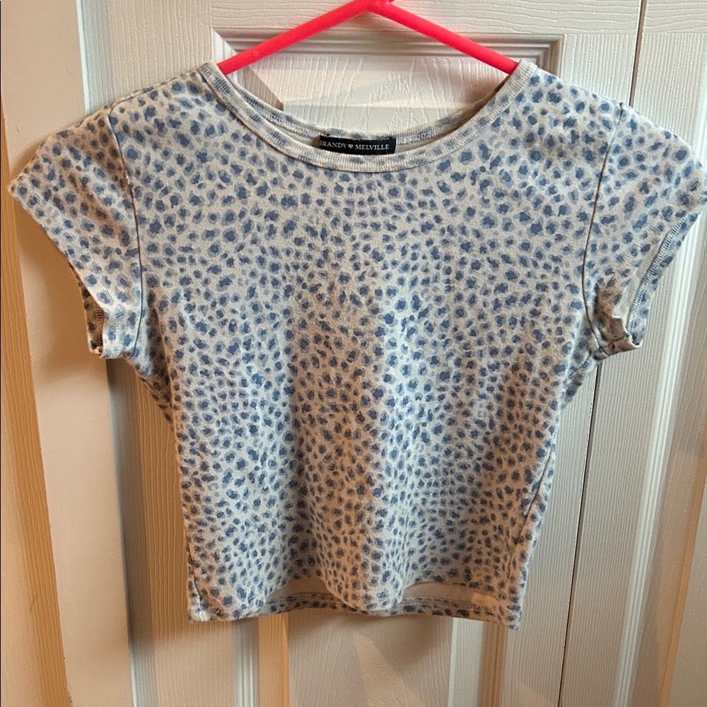 Light Blue Leopard Print Women's Top